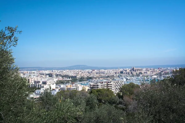 Palma vista e porto — Fotografia de Stock