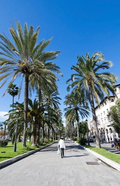 Urban utsikt Paseo Maritimo Palma — Stockfoto