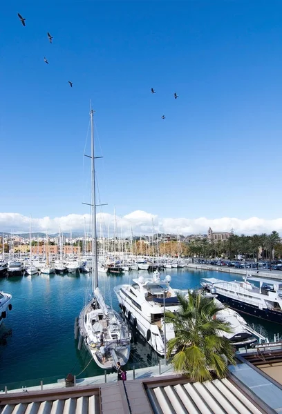 Båtar förtöjda i Palma — Stockfoto