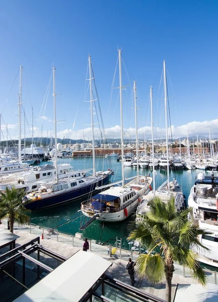 Jacht Horgonyzott a Palma — Stock Fotó