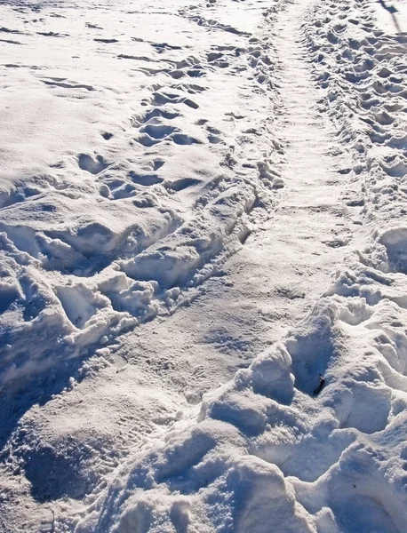 Gebogen natuurlijke sneeuw pad — Stockfoto