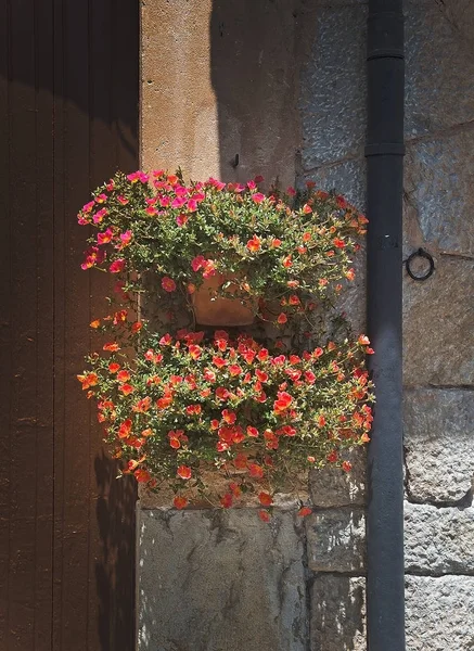 Valldemossa Maiorca — Fotografia de Stock