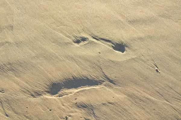 Areia praia detalhe forrado textura fundo — Fotografia de Stock