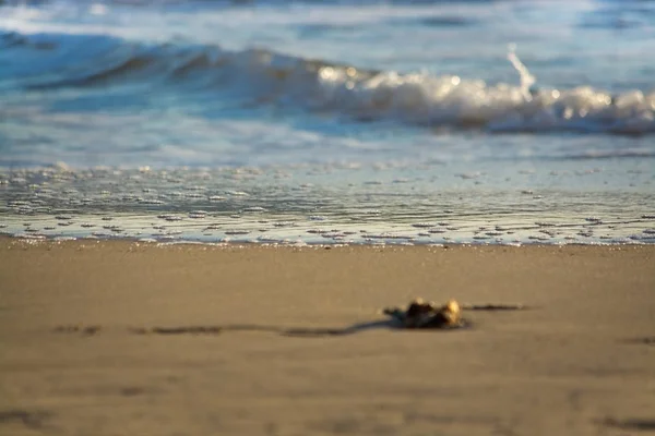 Sandy beach ayrıntı köpük soyut şekiller — Stok fotoğraf