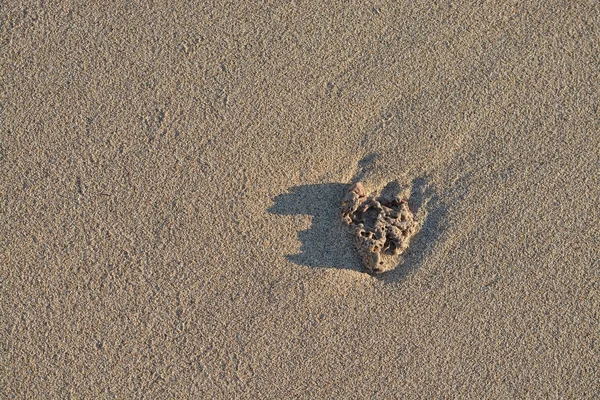 Песчаный пляж детали пенопласта абстрактные формы — стоковое фото