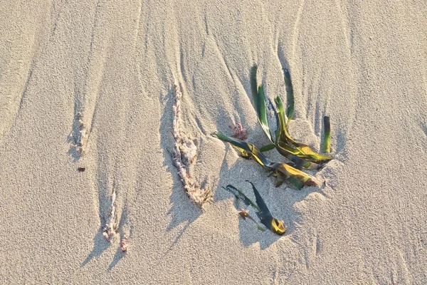 Praia de areia detalhe espuma formas abstratas — Fotografia de Stock
