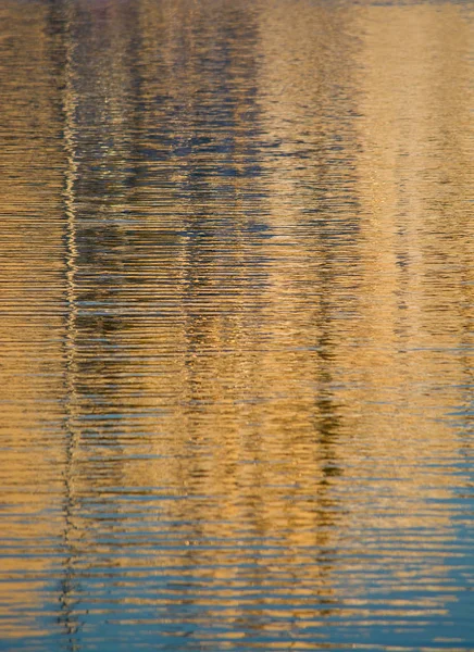 Marine Hintergrundtextur — Stockfoto