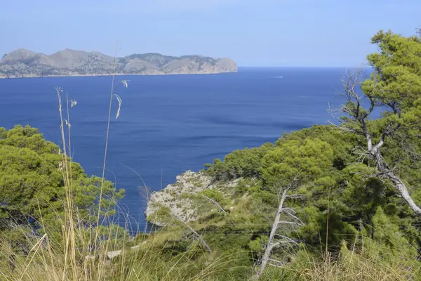 Formentor peninsula — Stock Photo, Image