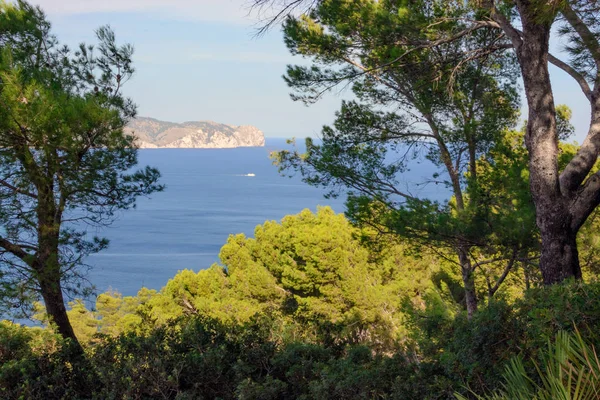 Mallorca Krajina Alcudia Poloostrov Formentor — Stock fotografie