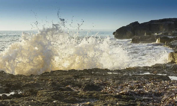 Breaking wave closeup — Stock Photo, Image