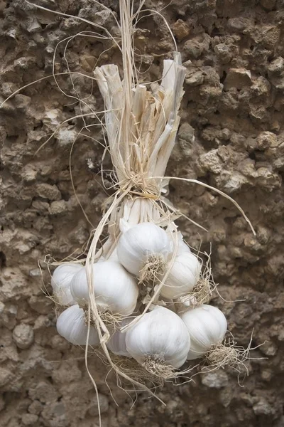 Knoflook boeket en stucwerk muur — Stockfoto