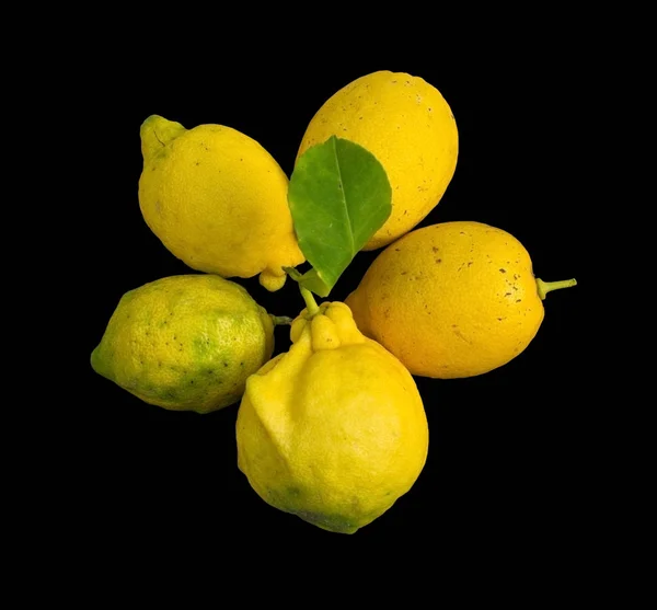 Piatto di limoni biologici freschi — Foto Stock