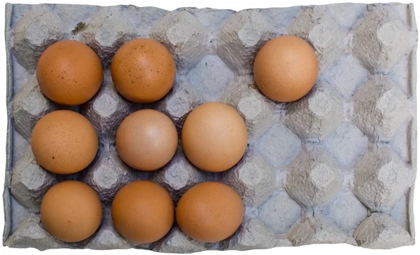 Fresh brown eggs in carton — Stock Photo, Image