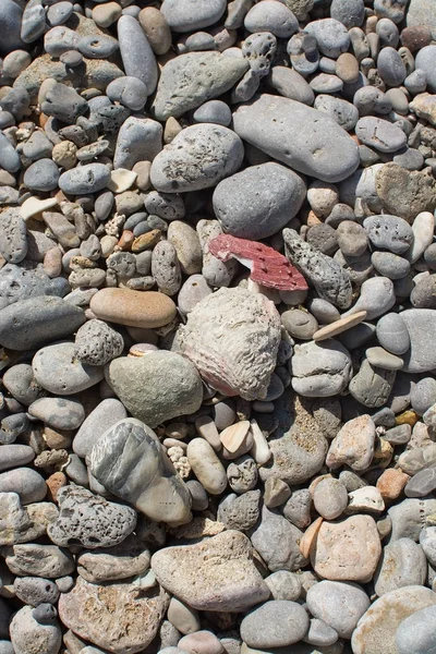 Rochers de plage gros plan — Photo