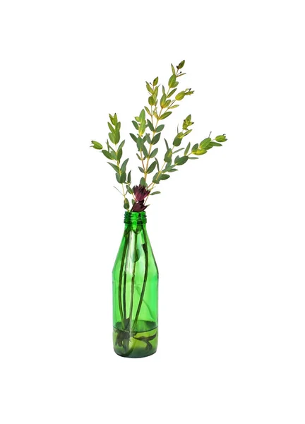 Grüne Glasflasche mit frischen dekorativen Blättern — Stockfoto