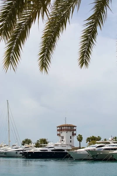 Luxury yachts in Puerto Portals marina — Stock Photo, Image