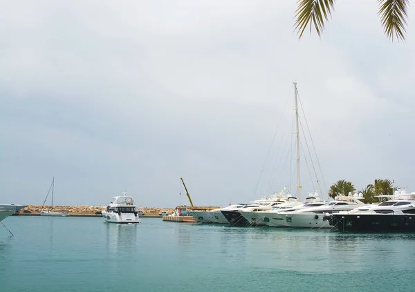 Luxury yachts in Puerto Portals marina — Stock Photo, Image