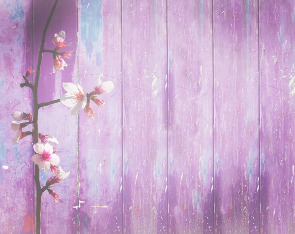 Фіолетовий рожевий дерев'яний фон весняні мигдалеві квіти — стокове фото