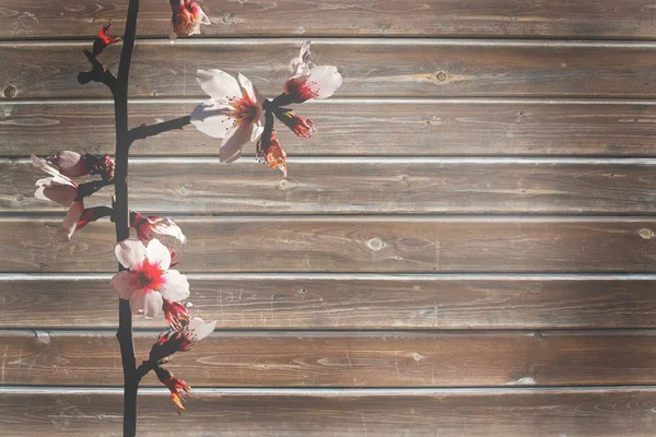 Textura de fondo de tablón de madera rayada — Foto de Stock