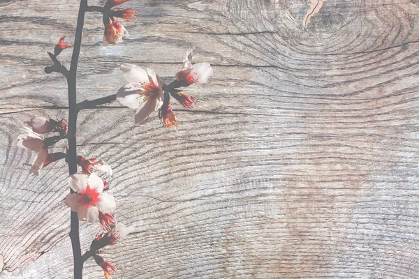 Деревянная поверхность с патиной — стоковое фото