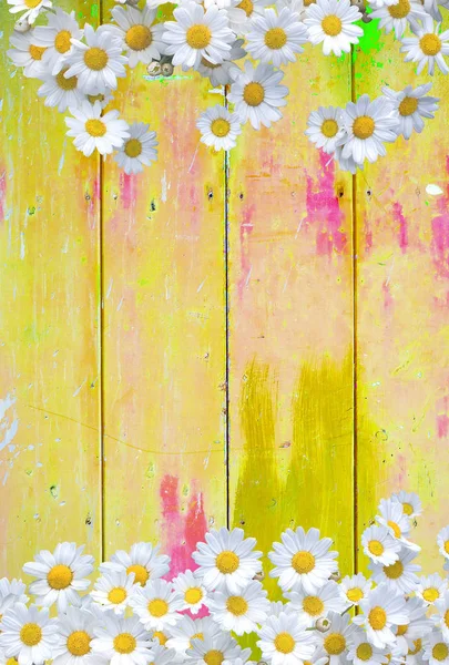 Papatya çiçekler ile sarı renkli vintage arka plan Telifsiz Stok Imajlar