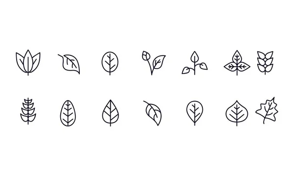 Leaf Icon Set Vektor Design Outline — Stockvektor