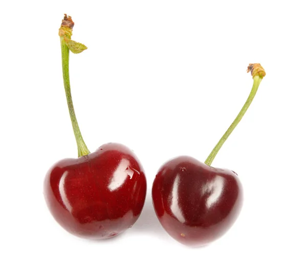 Két Cseresznye Fehér Alapon Elszigetelve Vágóúttal Egészséges Táplálkozás Fogyókúra Koncepció — Stock Fotó