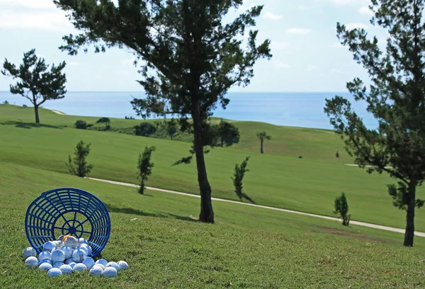 Um balde derrubado de bolas de golfe num campo de golfe tropical — Fotografia de Stock