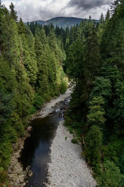 Capilano Nehri, Vancouver, Kanada, arka planda dağlar olan yemyeşil, ağaçlık bir vadiden geçiyor. Hava bulutlu..