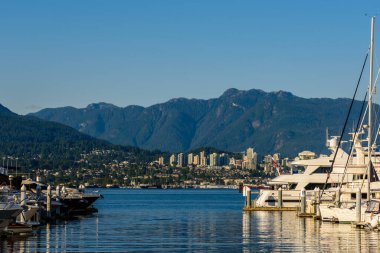 Coal Harbor, Vancouver, Kanada 'da güneşli bir yaz gününde tekneler limana yanaştı.