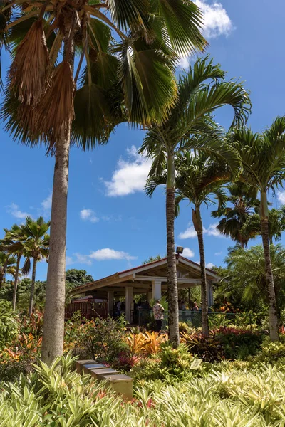 Výsadková Budova Obklopená Vysokými Palmami Tropickém Ostrově — Stock fotografie