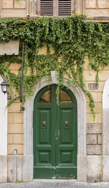 Atrakcyjne Stare Zielone Drewniane Drzwi Osadzone Kamiennej Ścianie Liśćmi Rosnącymi — Zdjęcie stockowe