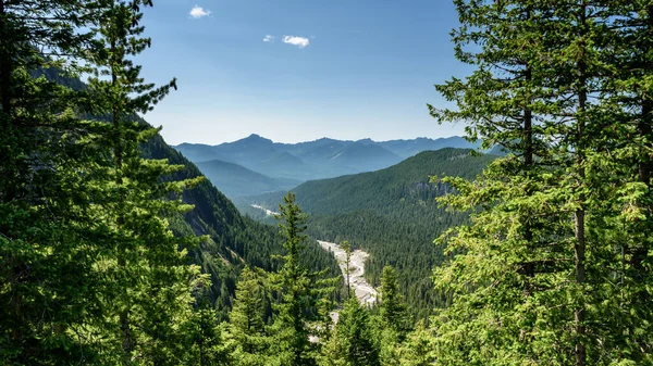 Nisqually nehir yatağının manzaralı manzarası, yazın, Mount Rainier Ulusal Parkı, Washington State, Amerika