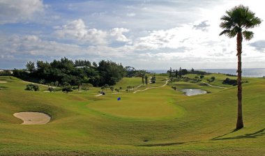 Tropikal bir golf sahasında çim yolu