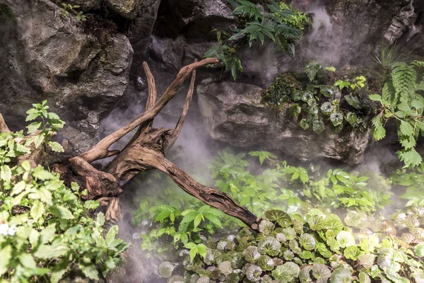 Primeval landscape, with mist drifting around foliage and wood