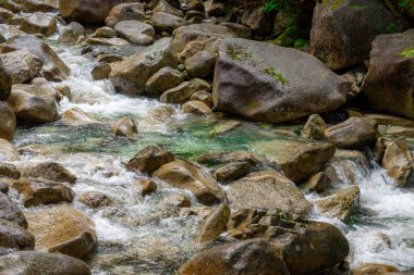 Kayaların ve kayaların üzerinden akan berrak bir dağ deresi. Nehir Squamish, British Columbia yakınlarında yer almaktadır..