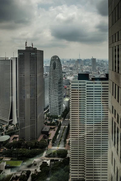 Aerial View Tokyo City Japan — Stock Photo, Image