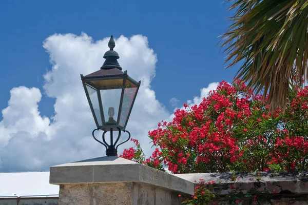 Staromódní Stínidlo Lampy Lemované Svěžím Křovím Bougainvillea — Stock fotografie