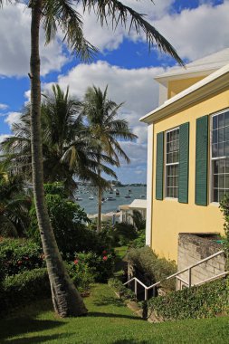 Tropikal manzara, palmiye ağacı ve tekneler