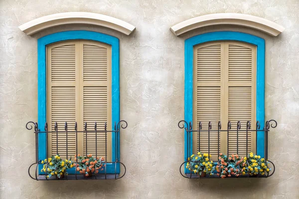 Two Windows Bright Blue Frames Shutters Glass Windows Have Flowers — Stock Photo, Image