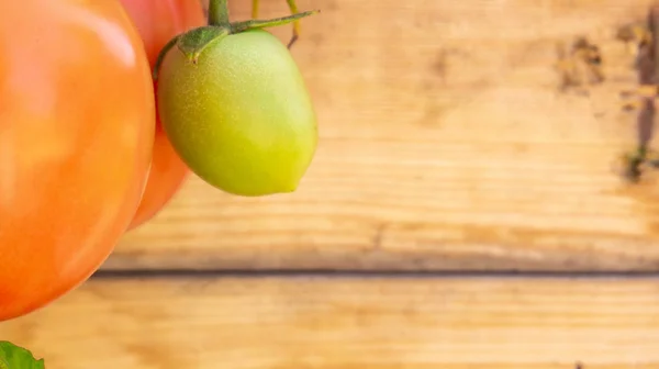 Close up de tomate Roma vermelho de videira e tomate verde não maduro em um fundo de madeira, útil para espaço de cópia ou um banner web, retratando a agricultura, agricultura, jardinagem, produtos orgânicos, ou comida italiana . — Fotografia de Stock