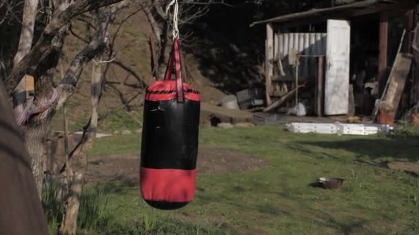 Puericultura pêra boxe no quintal sem pessoas — Vídeo de Stock