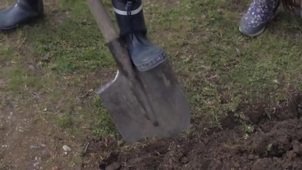 Genç bir çocuk ve kız bahçede kazı yapıyorlar. — Stok video