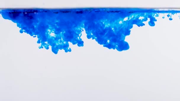 Blauw kruip in het water als gif — Stockvideo