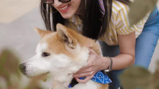 Hermosa chica caucásica acariciando un lindo perro akita en la cabeza — Vídeos de Stock