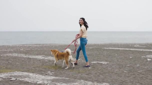 美丽的高加索女孩带着一只可爱的猎狗在海滨散步 免版税图库视频