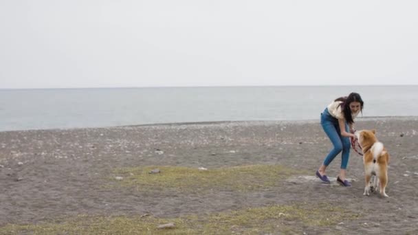 Gyönyörű kaukázusi lány séta egy aranyos akita kutya a tengerparton — Stock videók