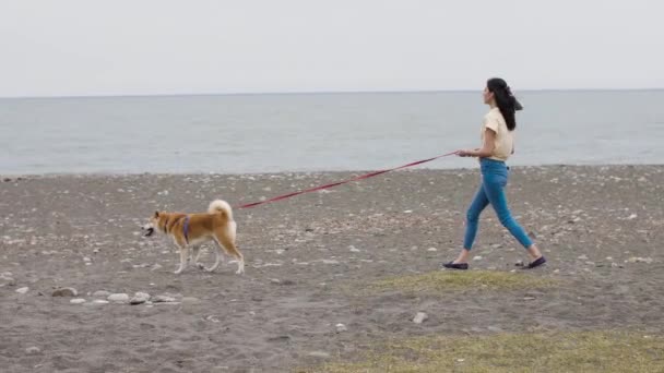 Vacker kaukasiska flicka promenader med en söt akita hund på stranden — Stockvideo