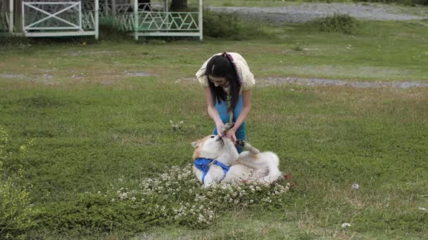 Caucásico chica arañazos pechos a Akita perro — Vídeo de stock