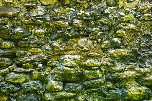 Pared de piedras verdes cero —  Fotos de Stock